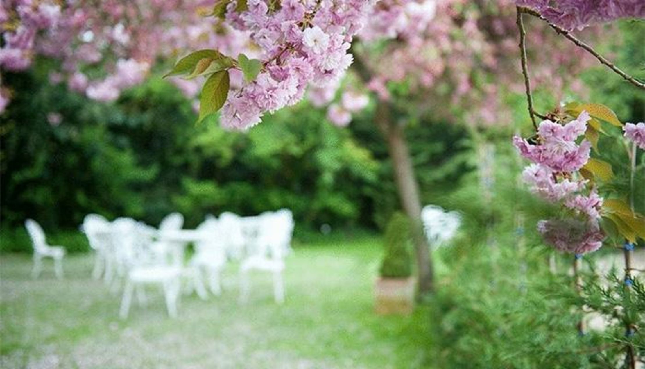 Karma Sanctum On The Green