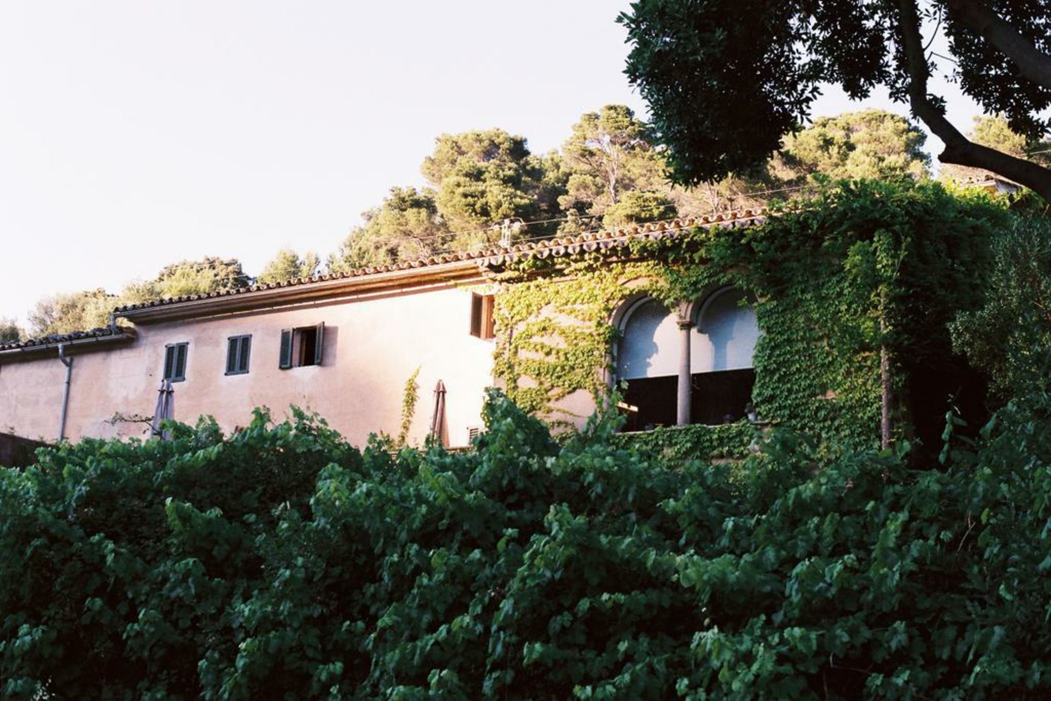 Agroturismo Son Viscos