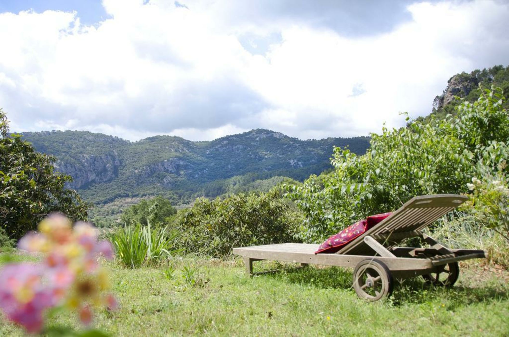 Agroturismo Son Viscos