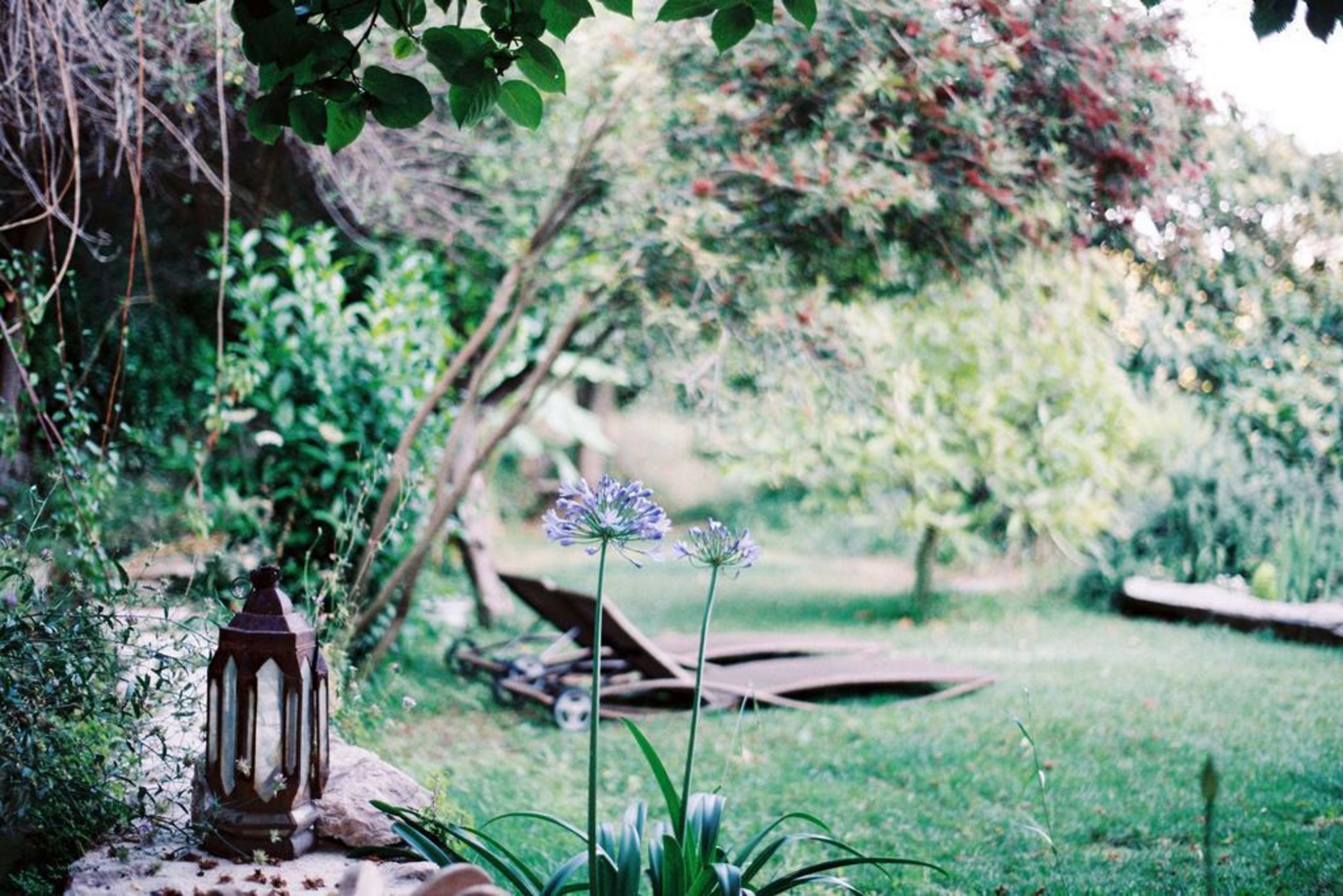 Agroturismo Son Viscos