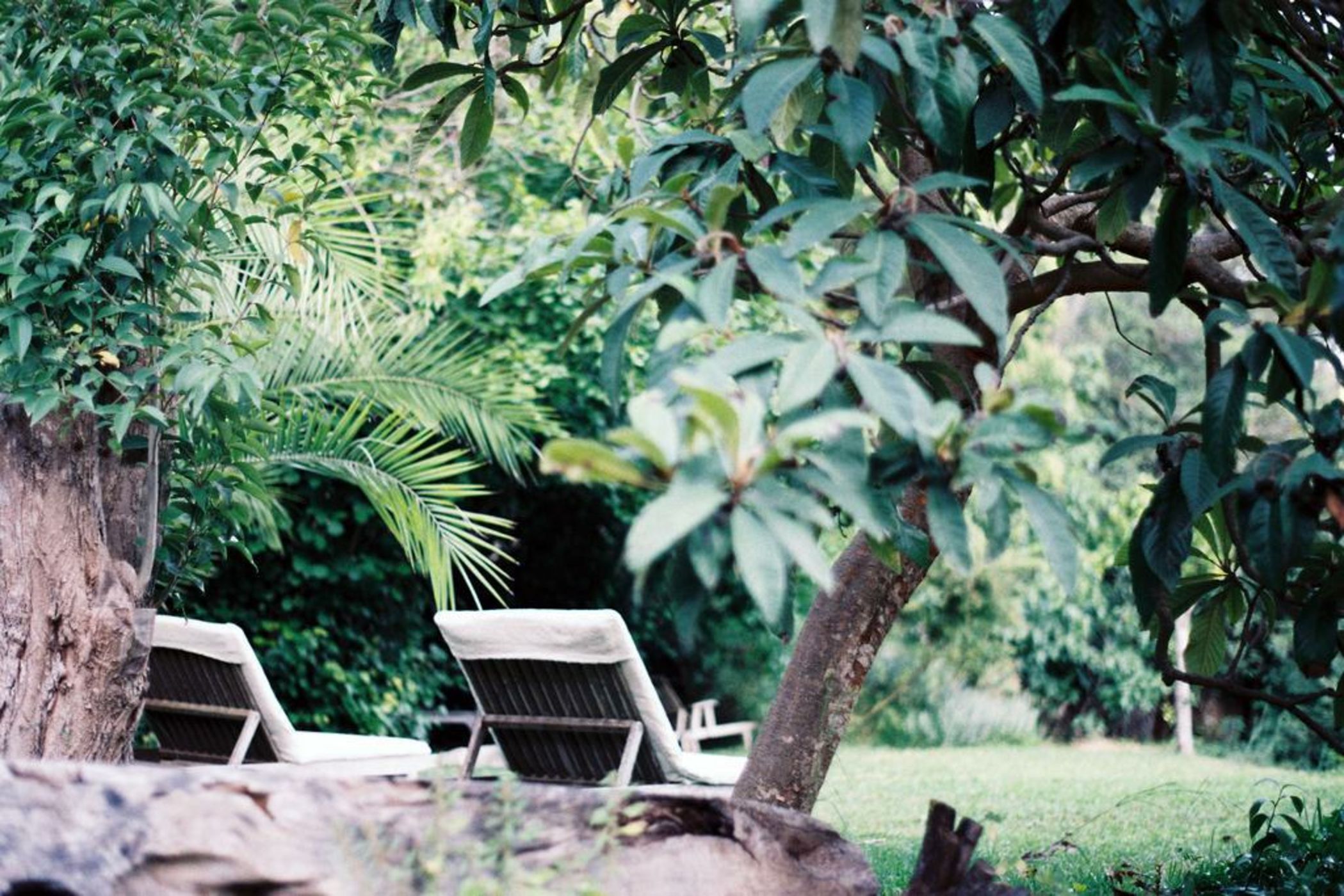 Agroturismo Son Viscos