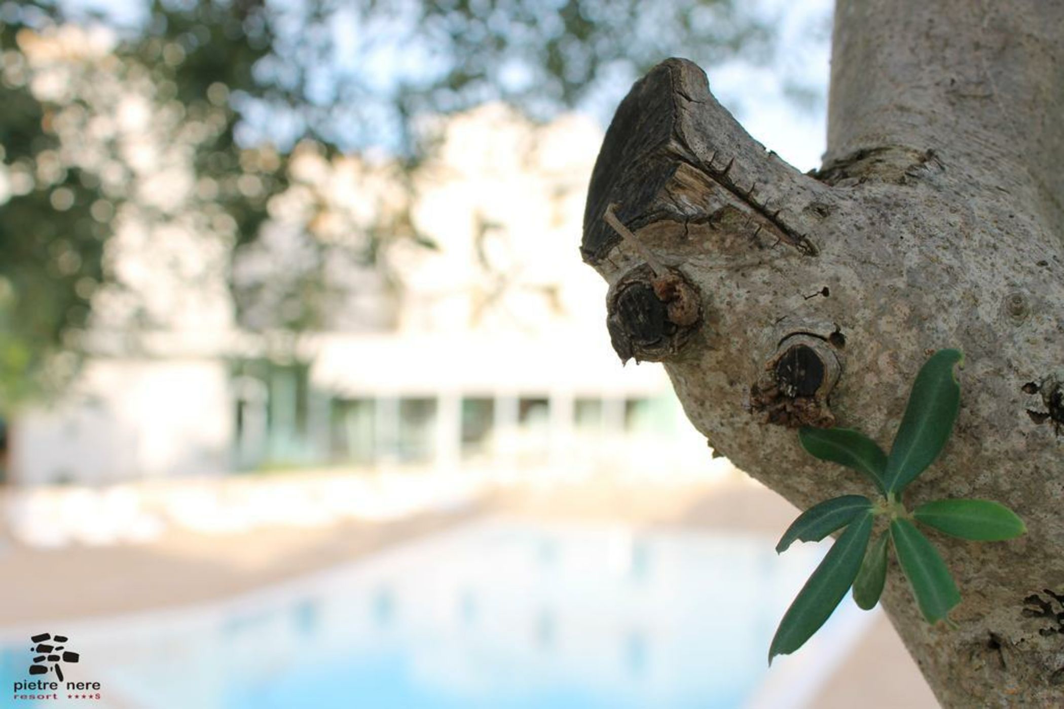 Pietre Nere Resort & Spa