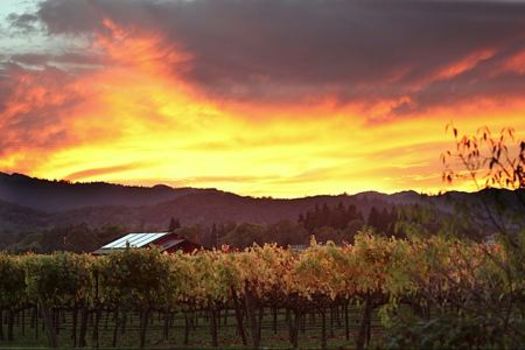 Hotel Yountville