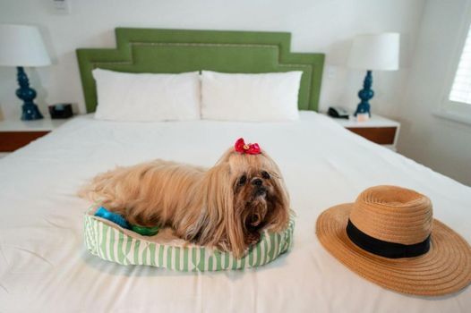 Circa 39 Miami Beach