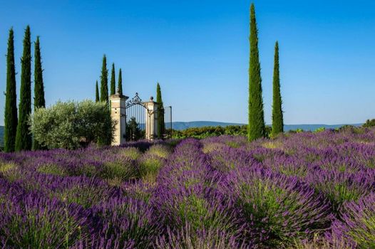 Coquillade Provence