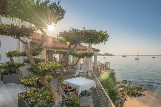 The Albatroz Hotel