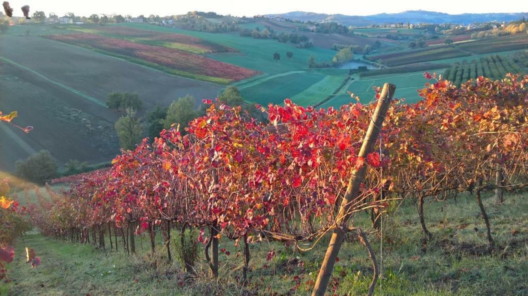 Agriturismo Opera 02