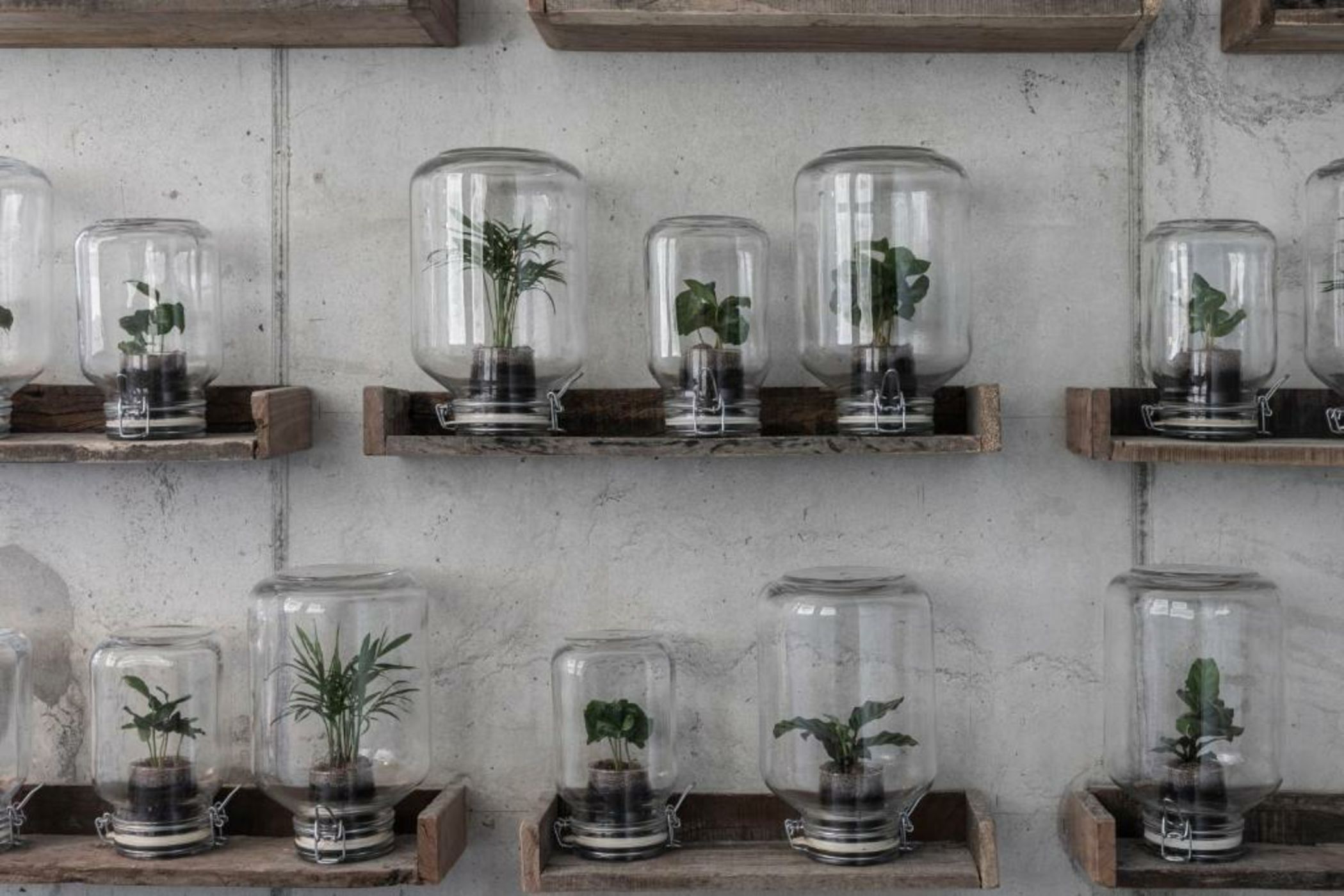 CERVO Mountain Resort