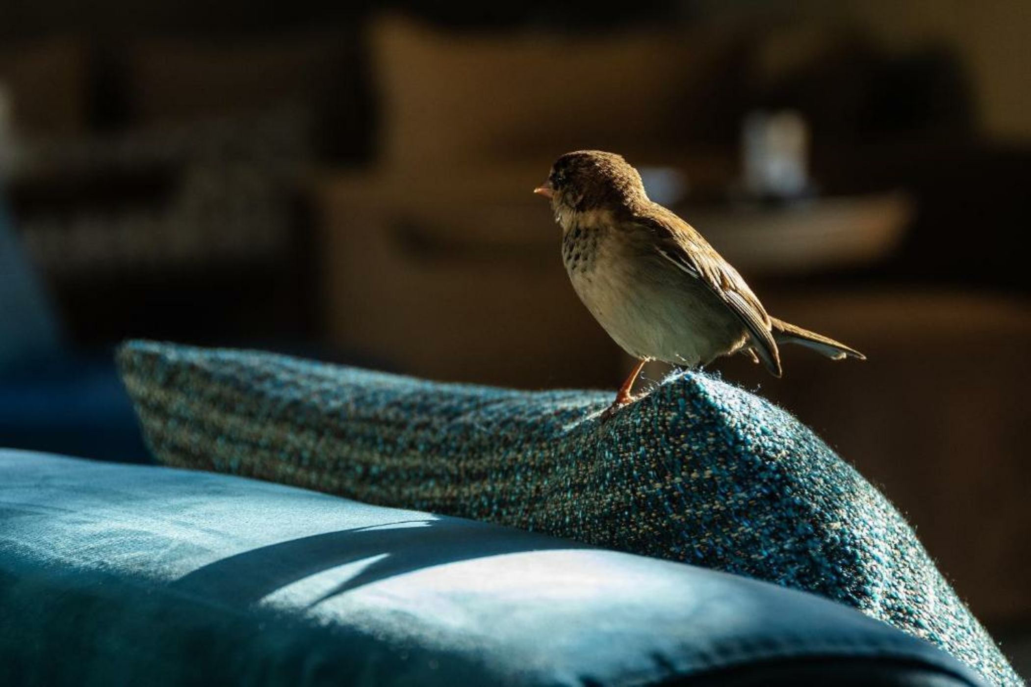 Sirayane Boutique Hotel & Spa Marrakech