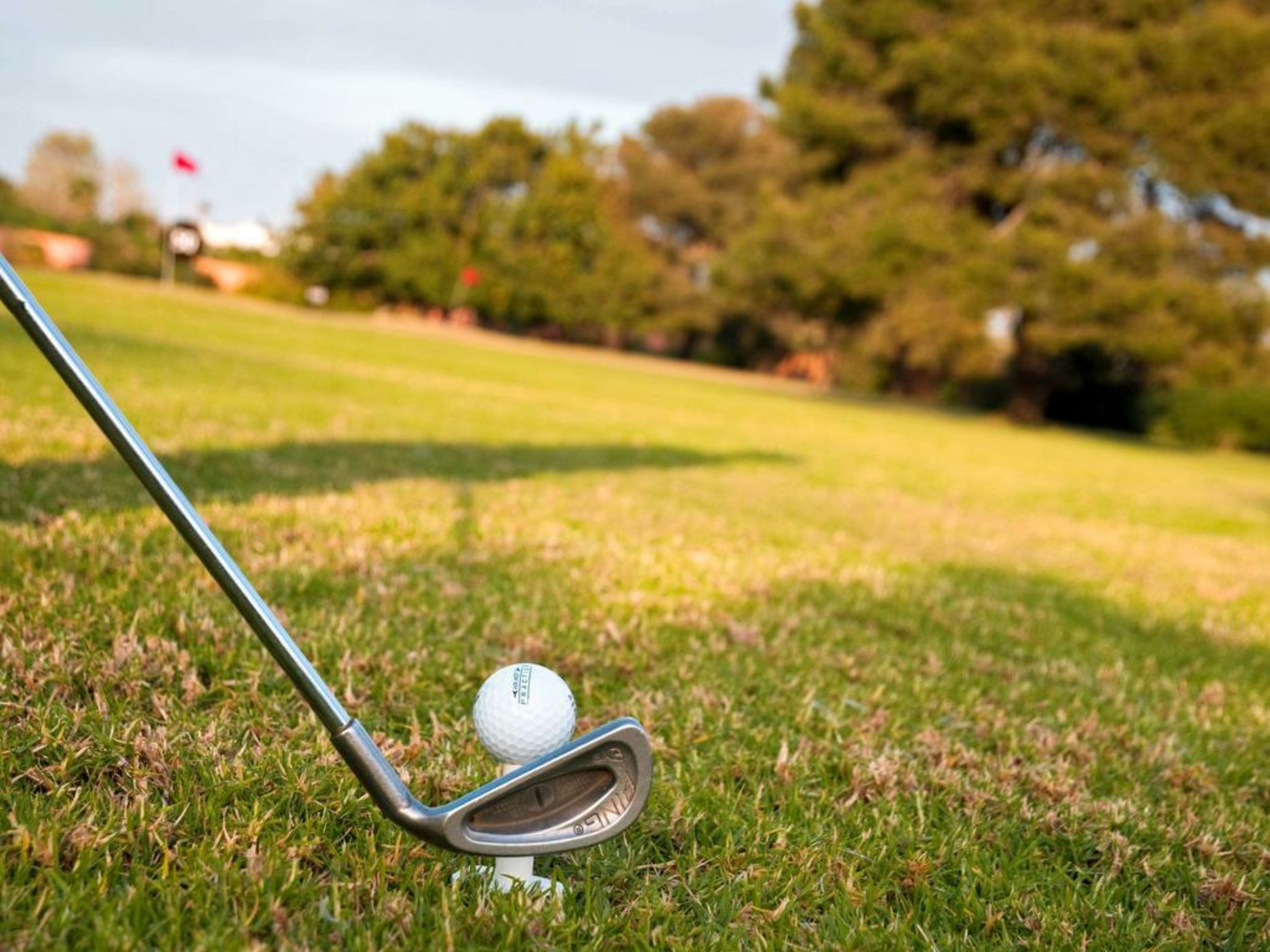 Sofitel Rabat Jardin Des Roses