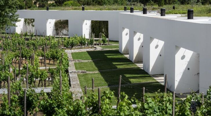 L'AND Vineyards