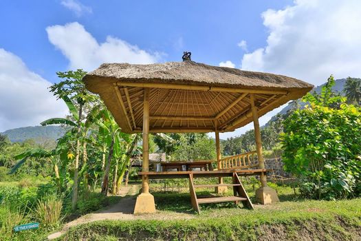 Alila Manggis