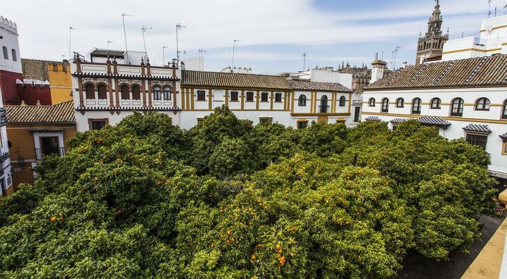 Hotel Boutique Elvira Plaza