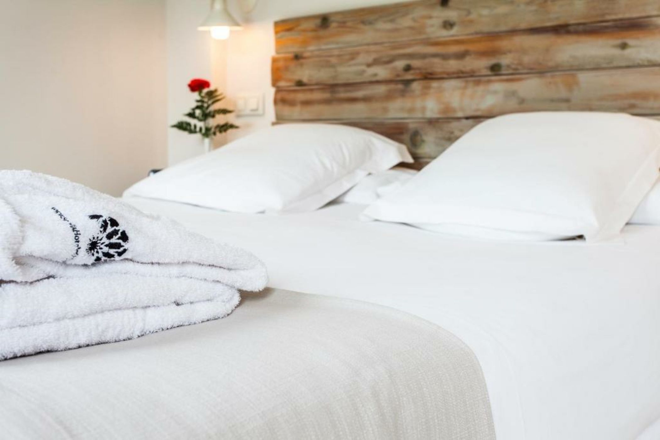 Hotel Boutique Elvira Plaza