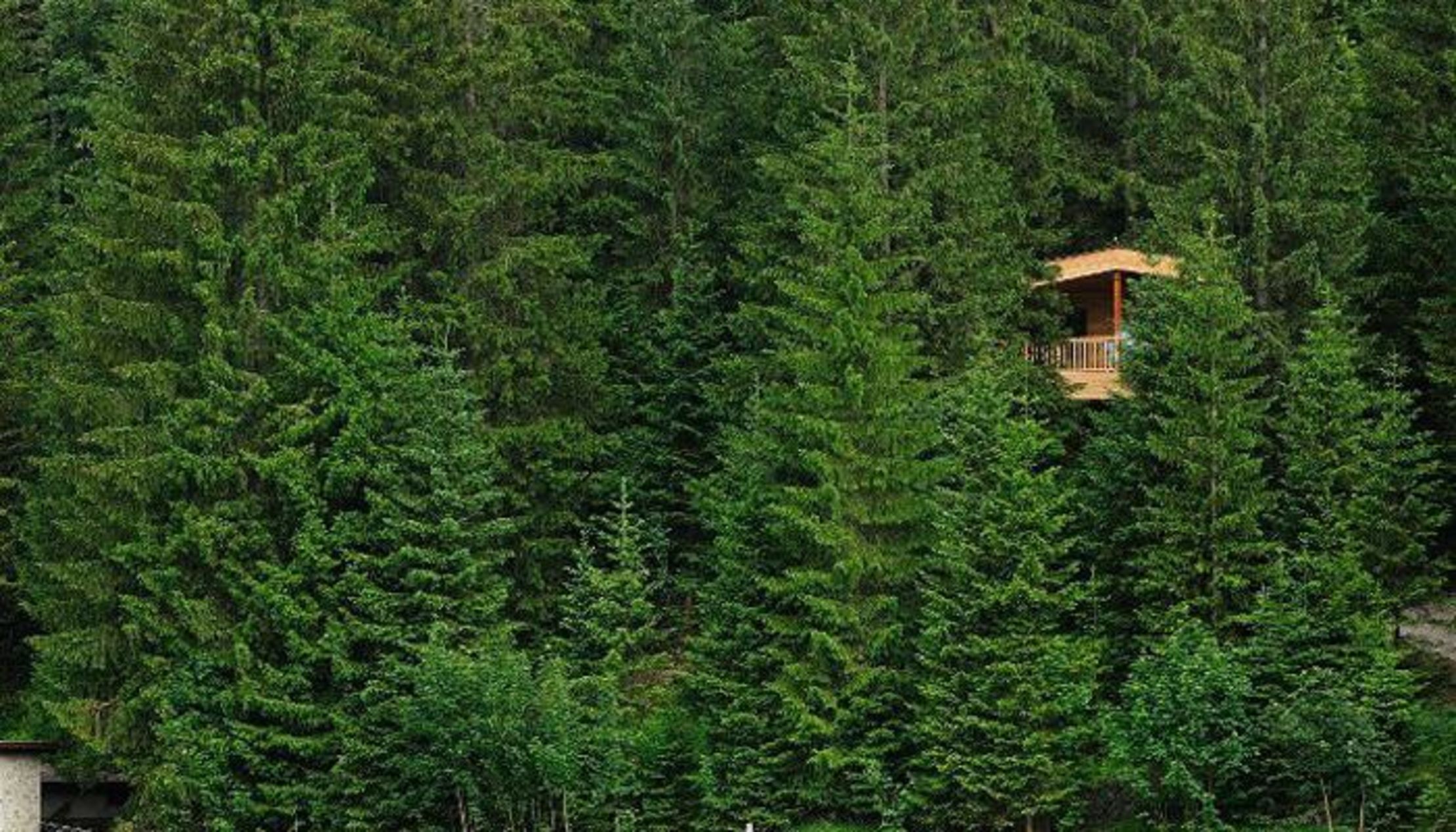 Das Kranzbach - Superior