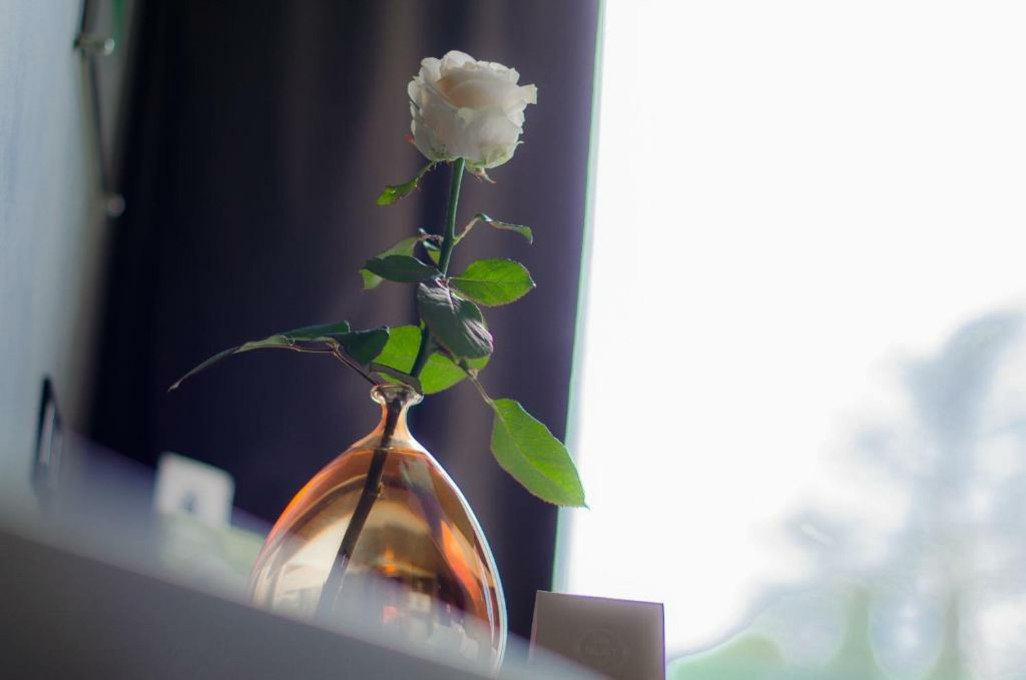 Lido Palace - The Leading Hotels of the World