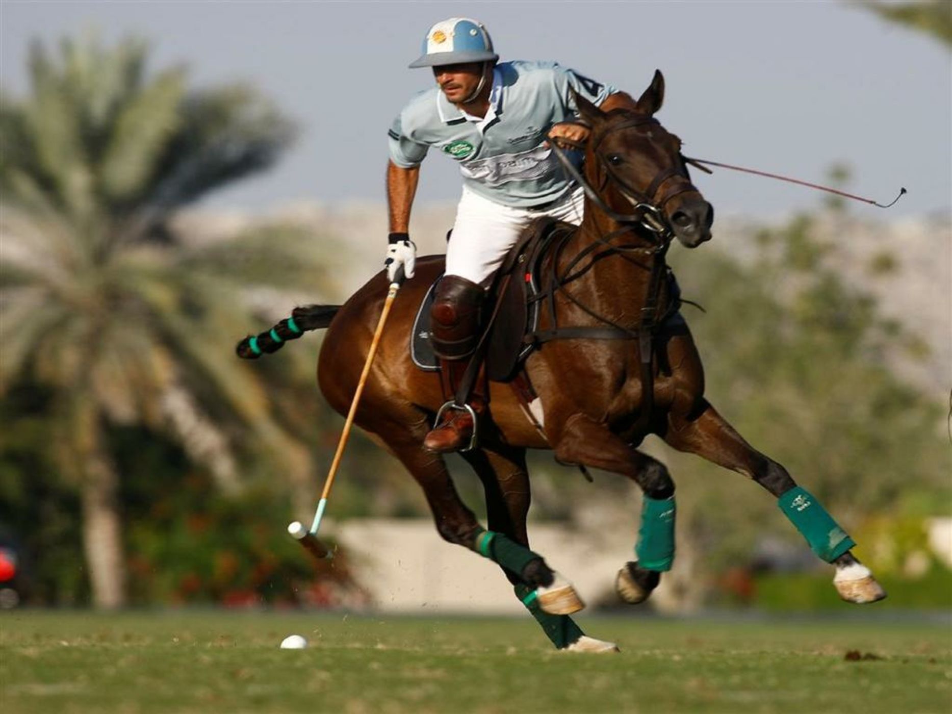 Meliá Desert Palm Dubai