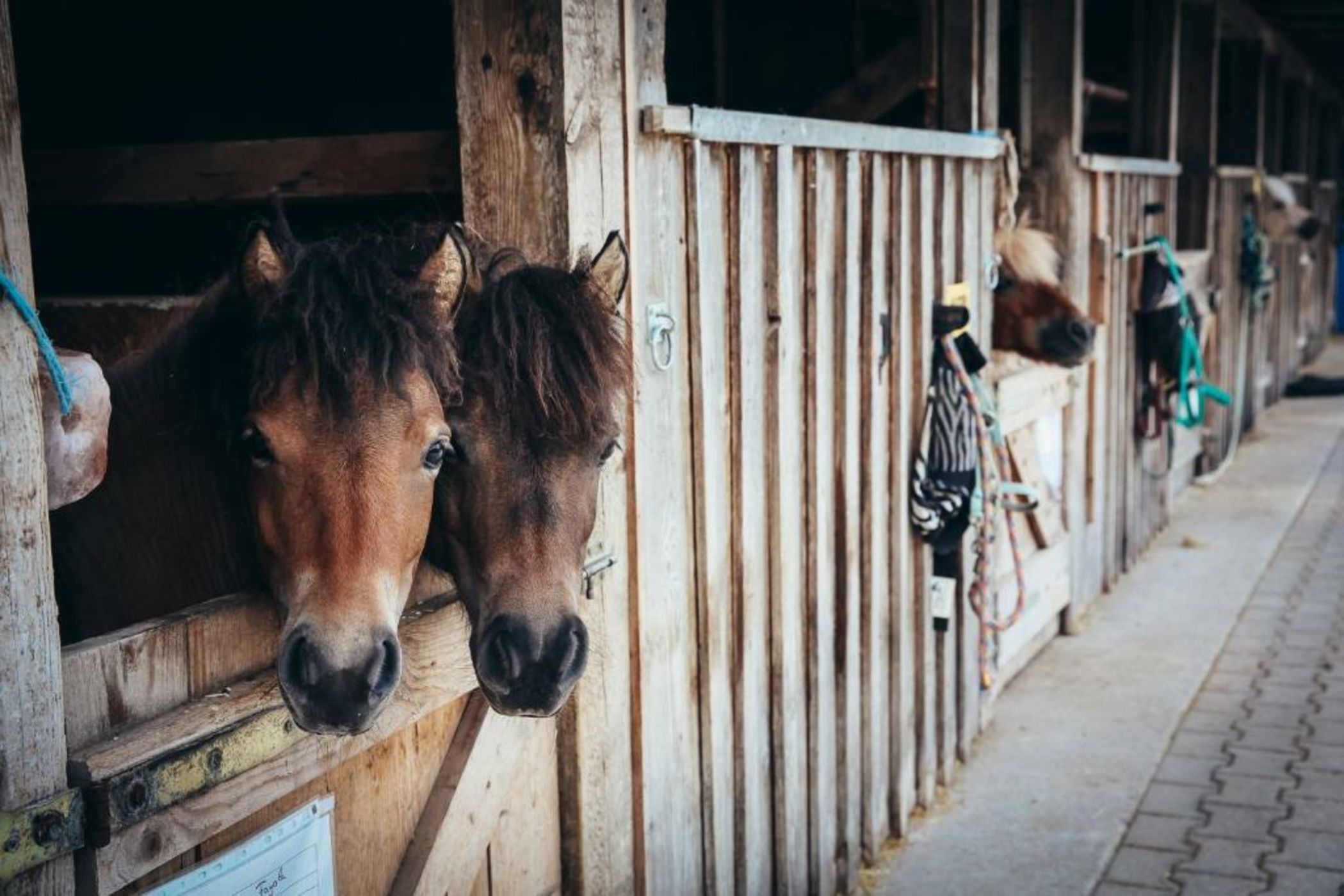 Spa & Resort Bachmair Weissach