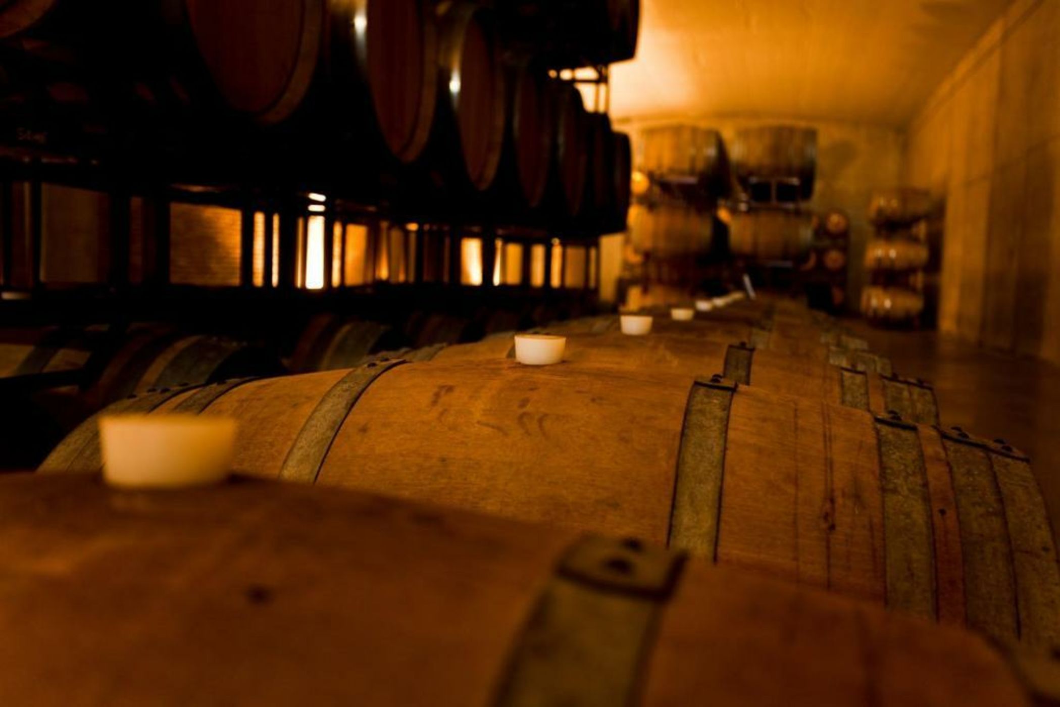 Hotel & Winery Señorío de Nevada