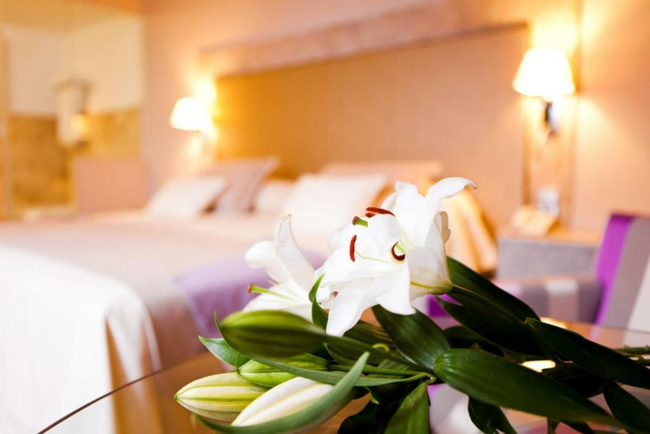 Hotel & Winery Señorío de Nevada