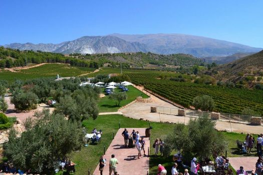 Hotel & Winery Señorío de Nevada