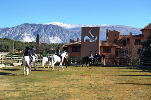 Hotel & Winery Señorío de Nevada