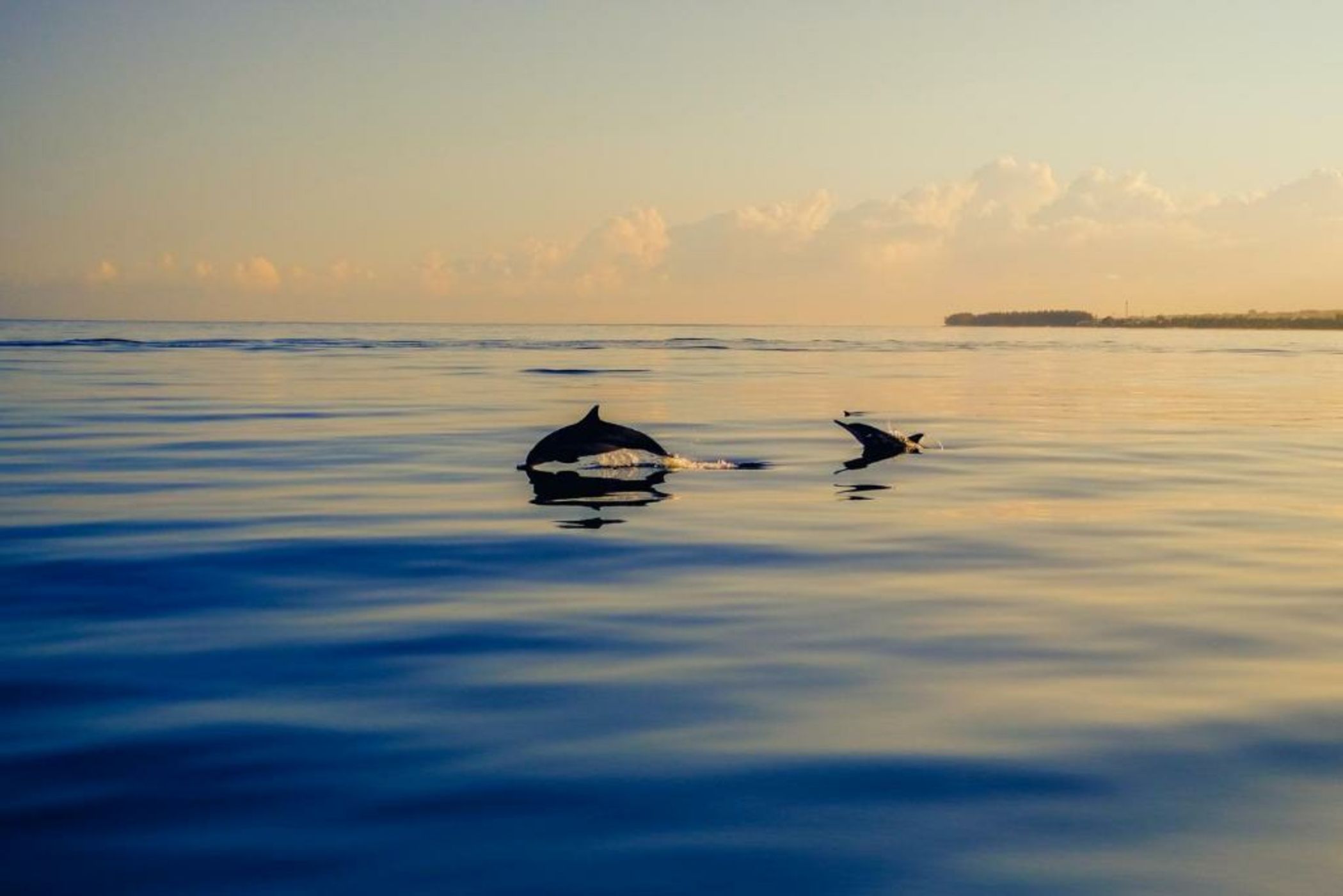 LUX* Le Morne Resort