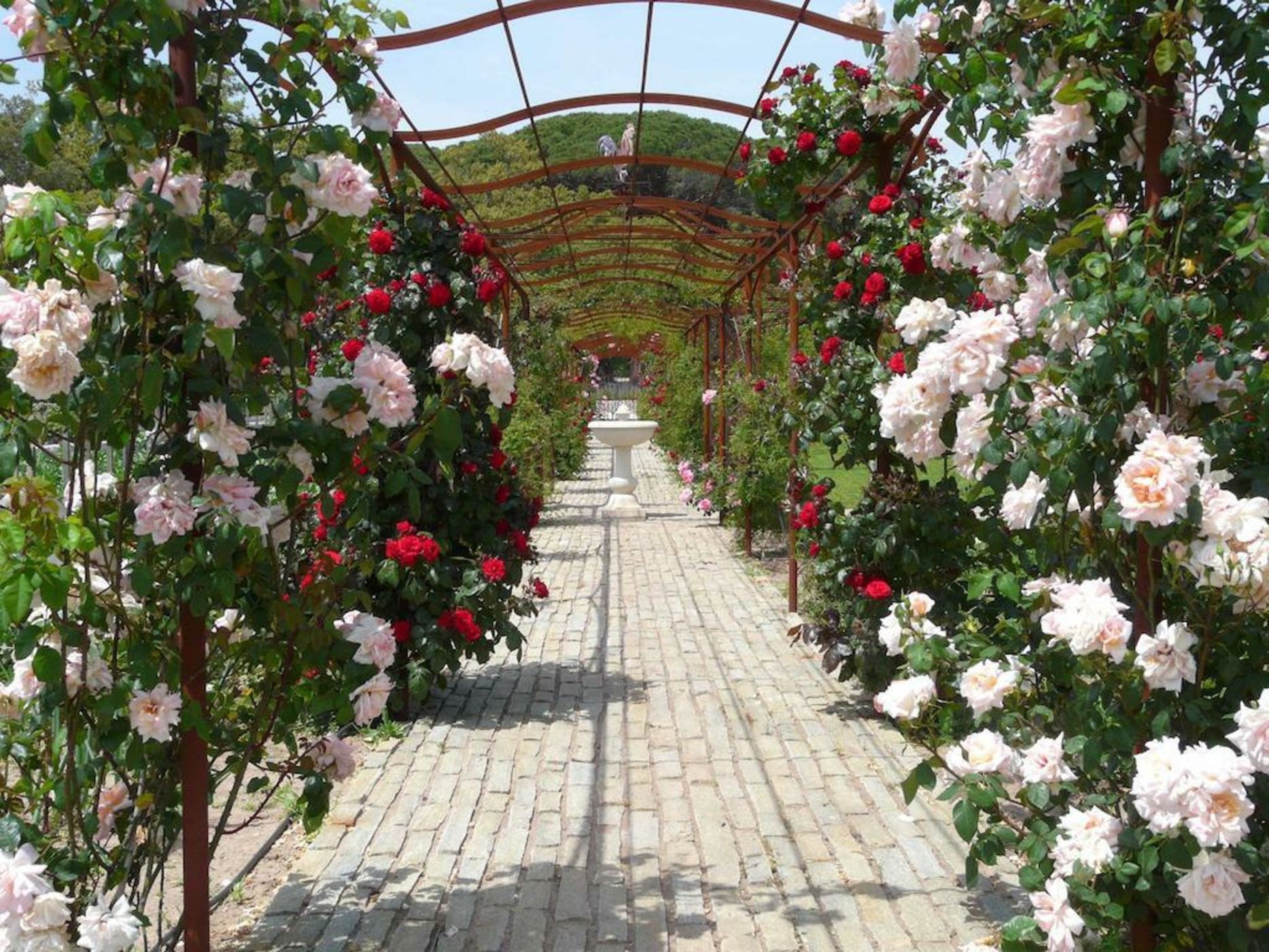 La Bastide Du Clos des Roses - Les Collectionneurs