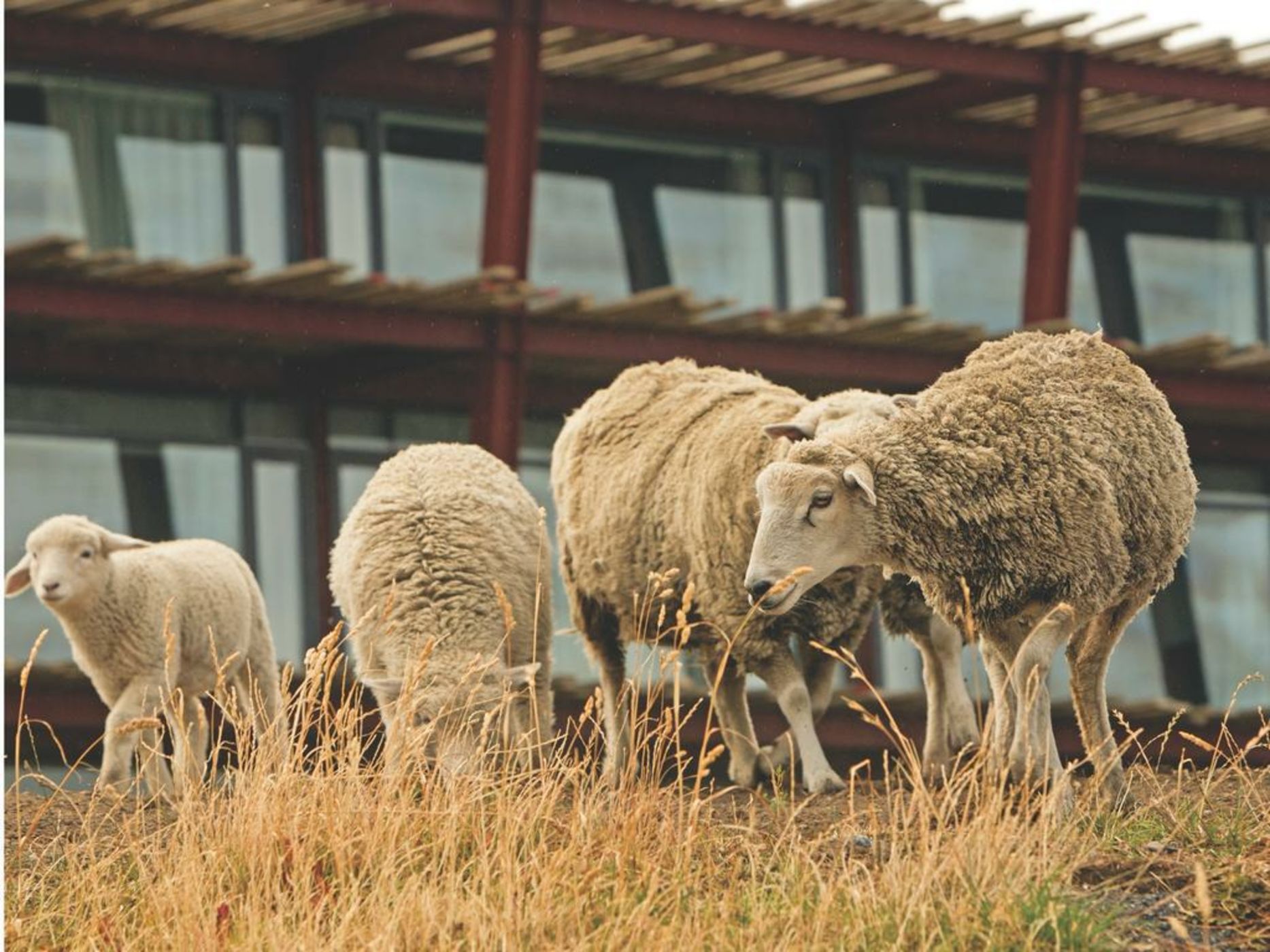 The Singular Patagonia Hotel