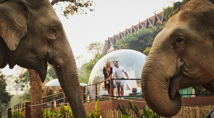 Anantara Golden Triangle Elephant Camp & Resort - SHA Certified