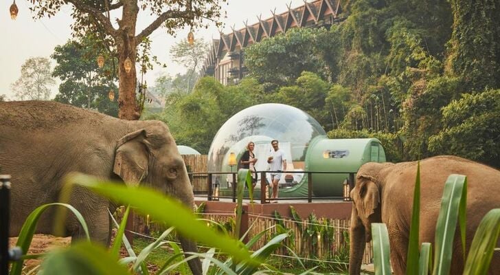 Anantara Golden Triangle Elephant Camp & Resort - SHA Certified