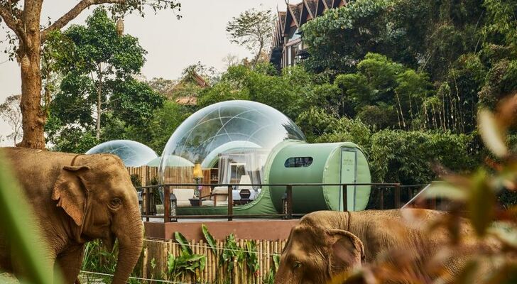 Anantara Golden Triangle Elephant Camp & Resort - SHA Certified