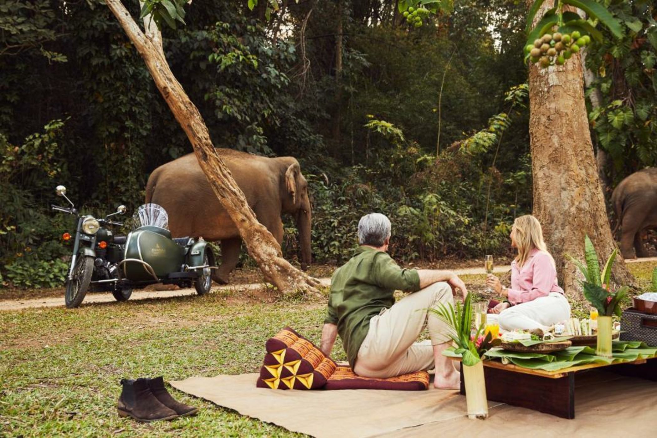 Anantara Golden Triangle Elephant Camp & Resort - SHA Certified