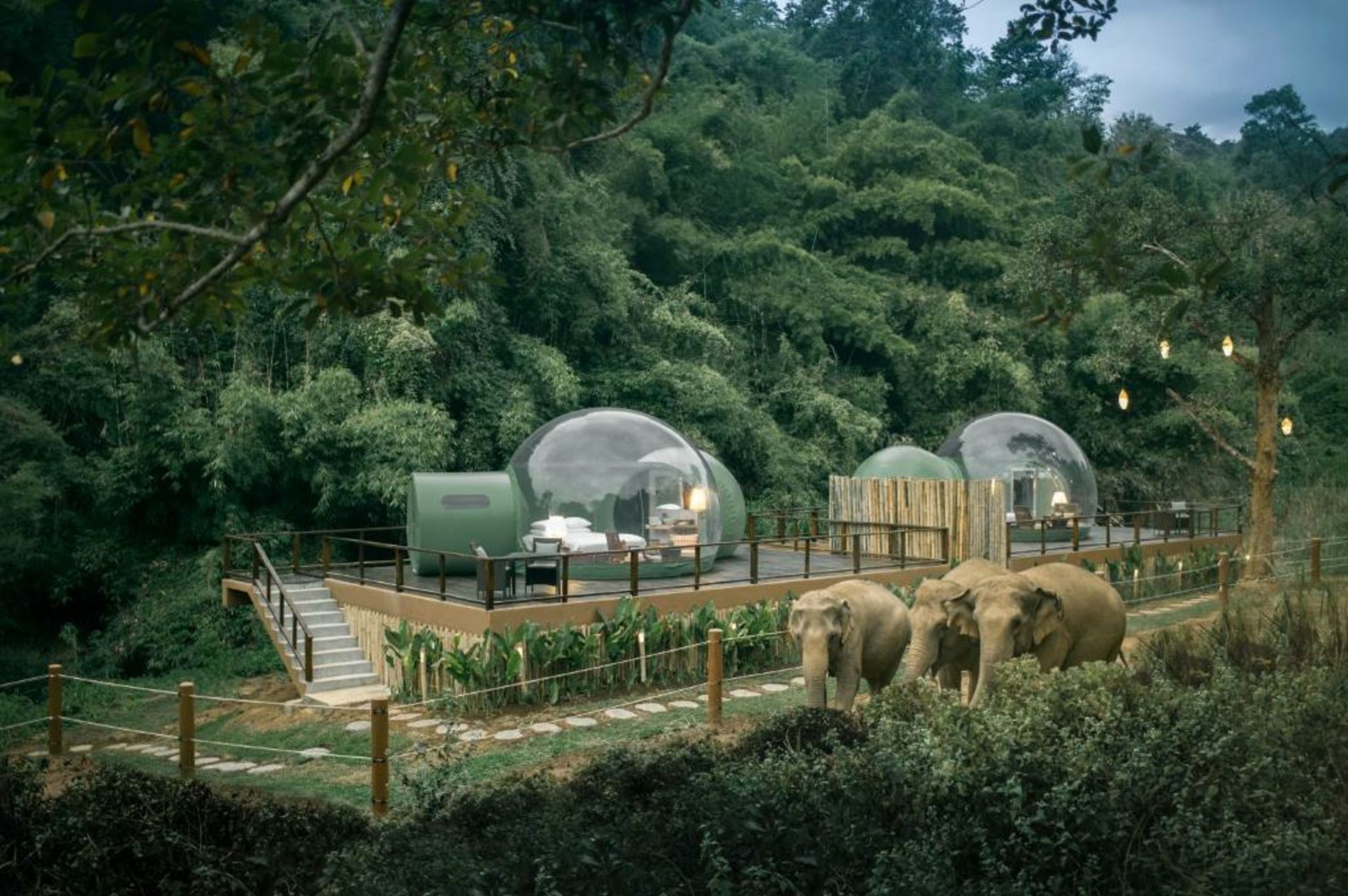 Anantara Golden Triangle Elephant Camp & Resort - SHA Certified