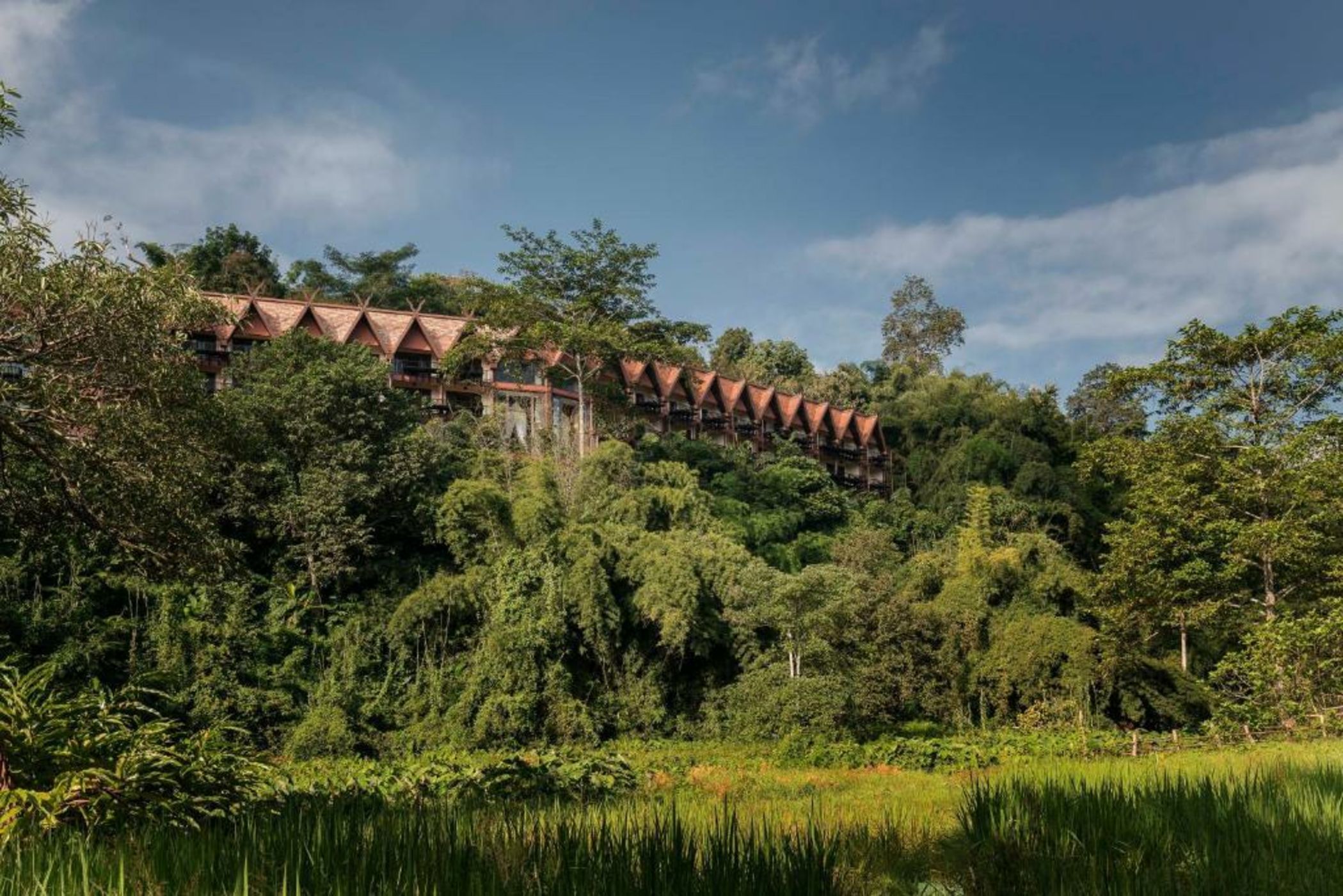 Anantara Golden Triangle Elephant Camp & Resort - SHA Certified