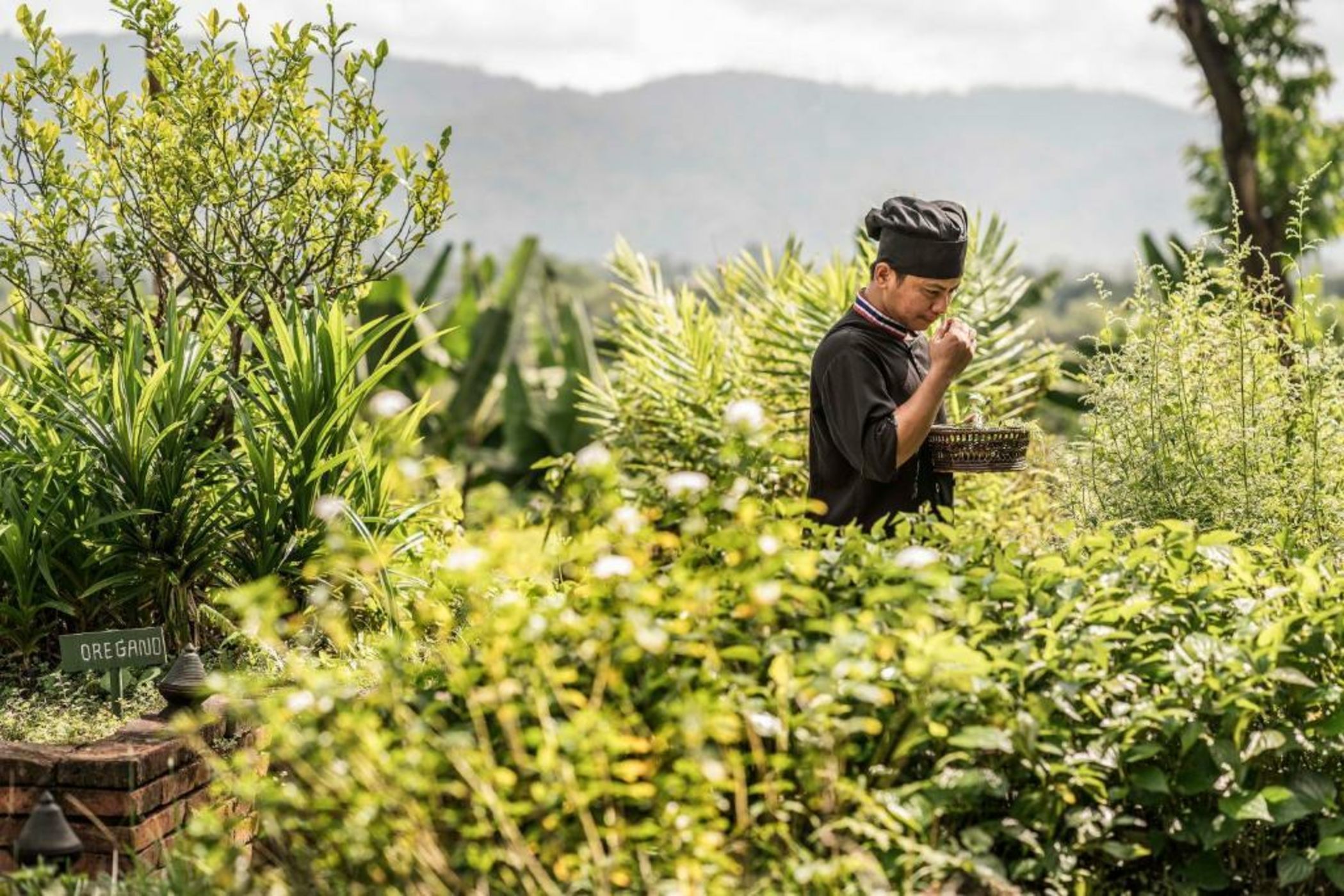 Anantara Golden Triangle Elephant Camp & Resort - SHA Certified