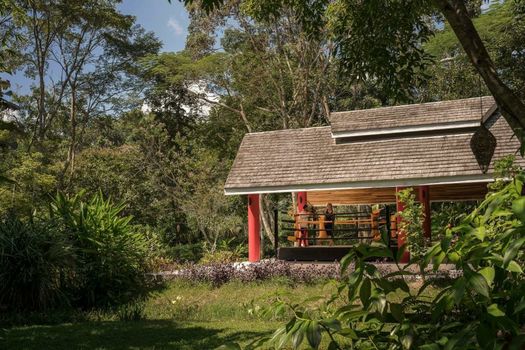 Anantara Golden Triangle Elephant Camp & Resort - SHA Certified
