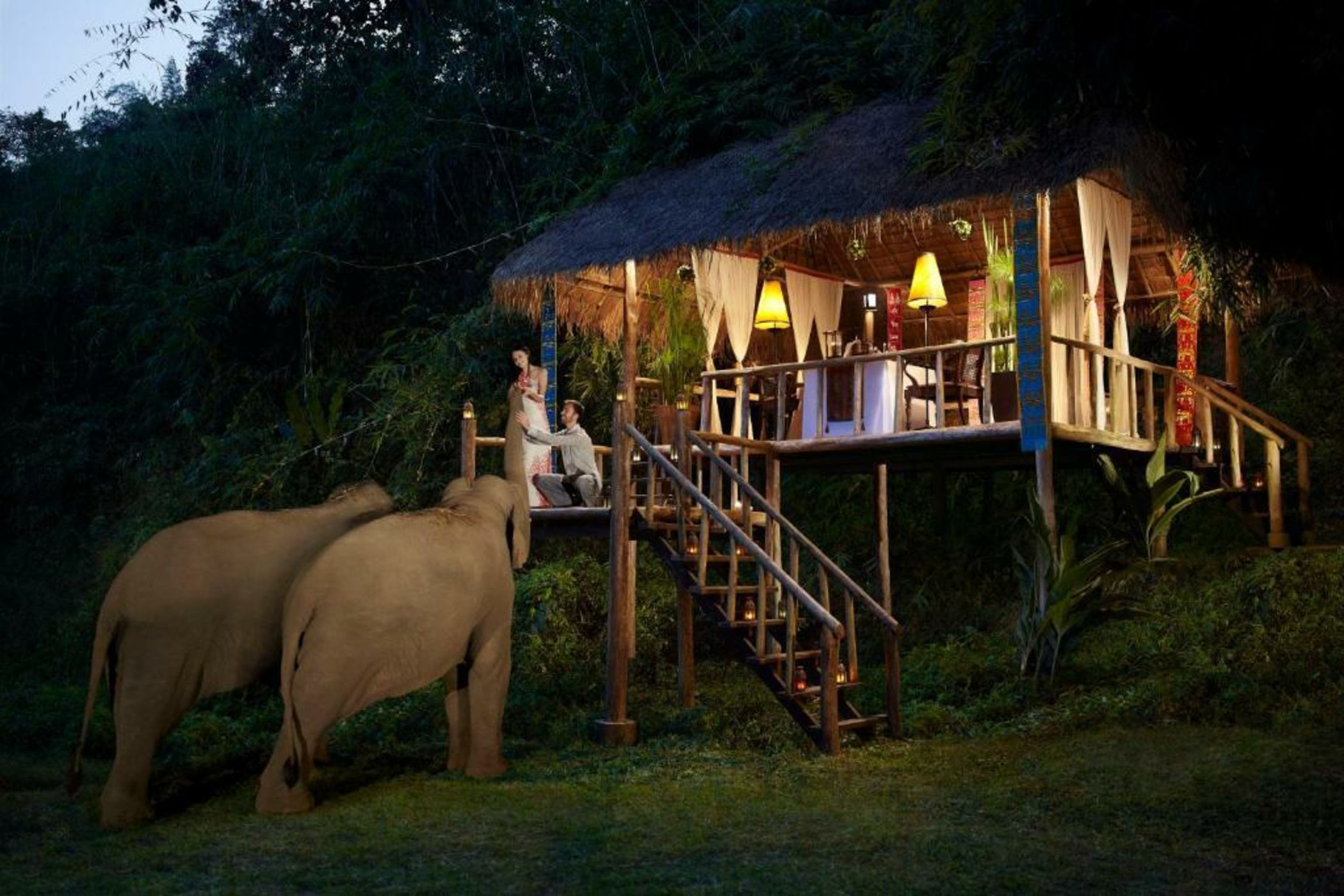 Anantara Golden Triangle Elephant Camp & Resort - SHA Certified