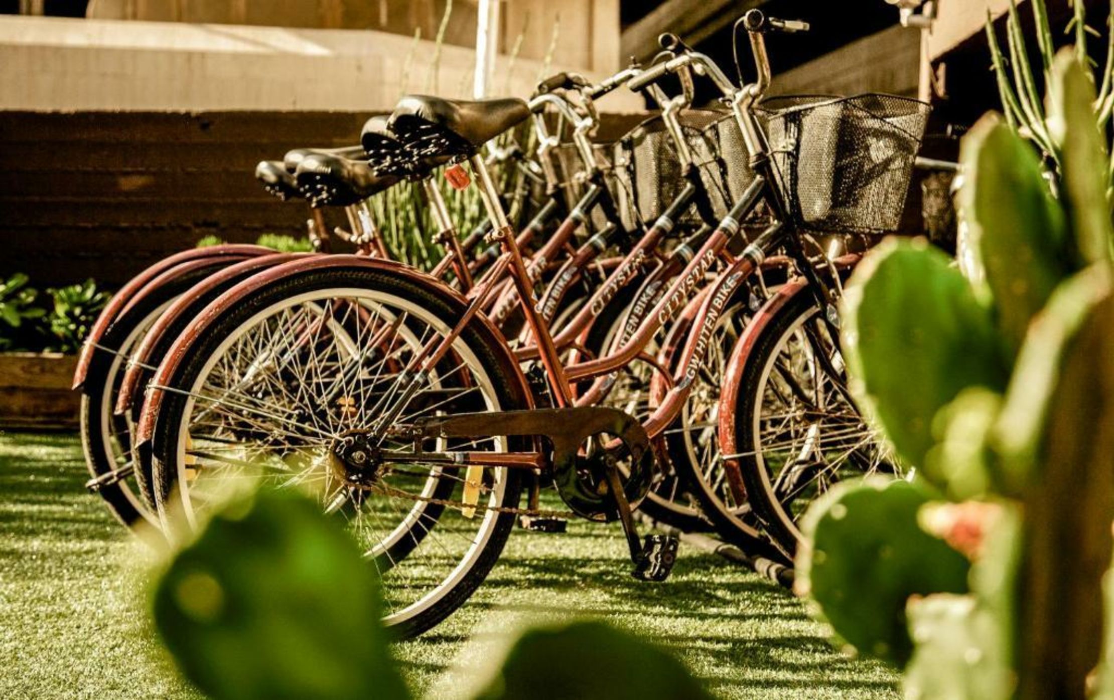 Brown TLV Urban Hotel a member of Brown Hotels