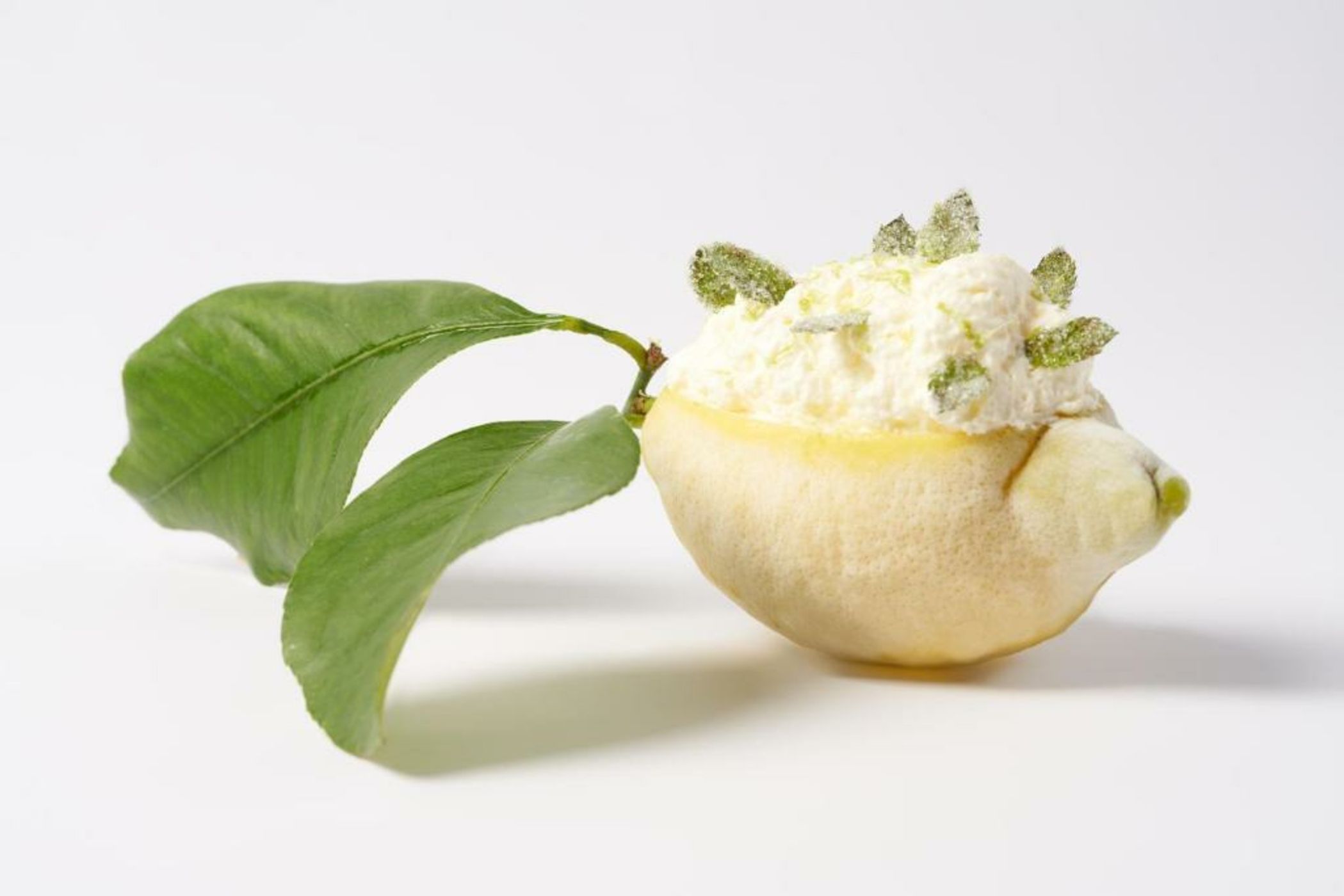 Grand-Hôtel du Cap-Ferrat, A Four Seasons Hotel