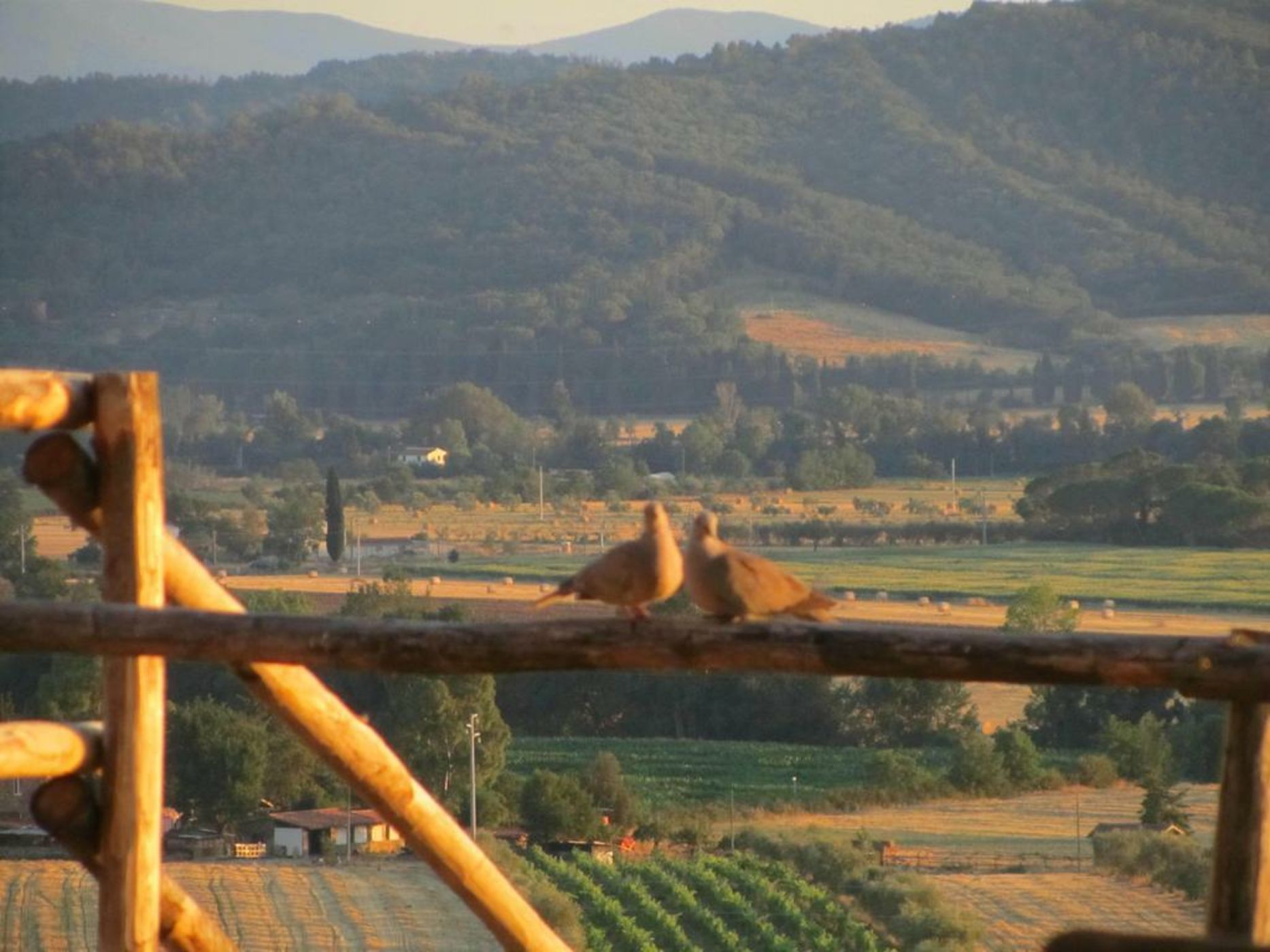 Wine Resort Conti di San Bonifacio