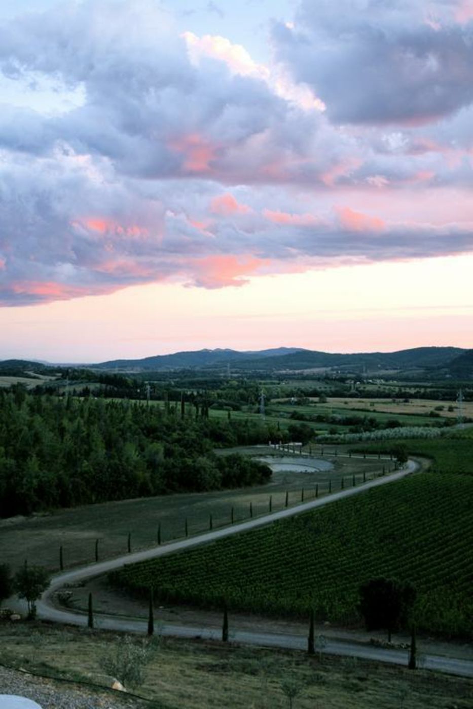 Wine Resort Conti di San Bonifacio