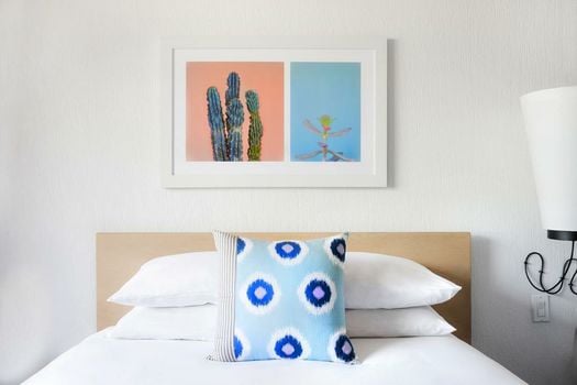 The Saguaro Scottsdale