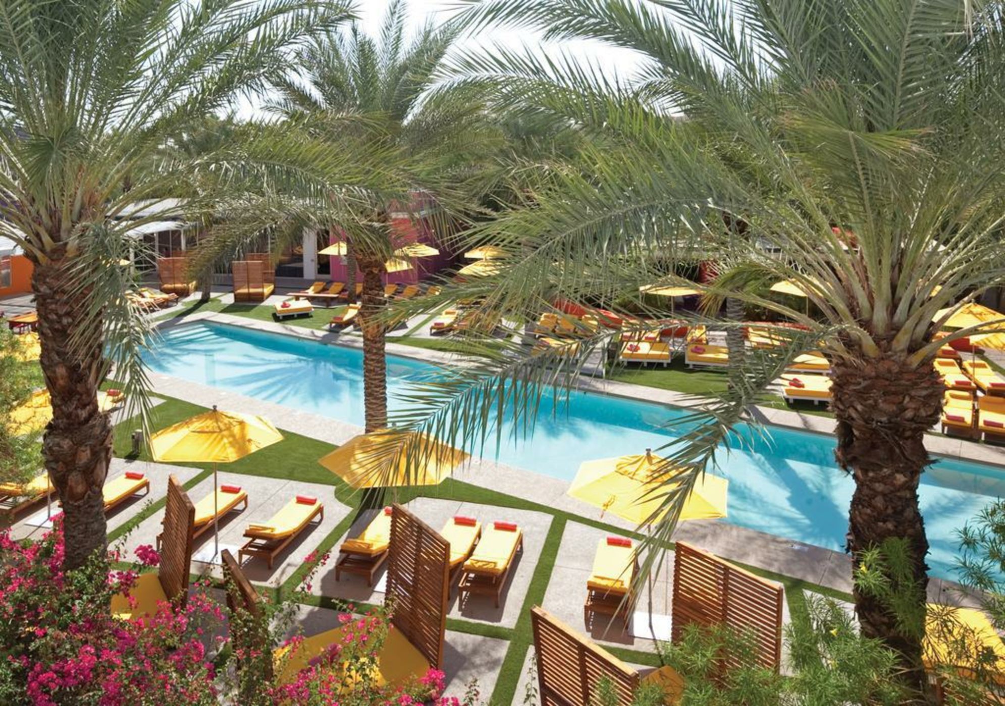 The Saguaro Scottsdale