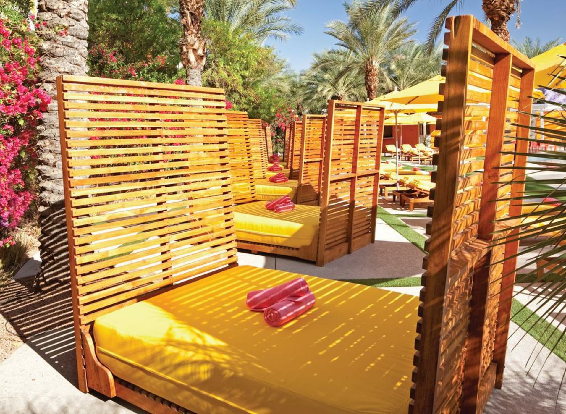 The Saguaro Scottsdale