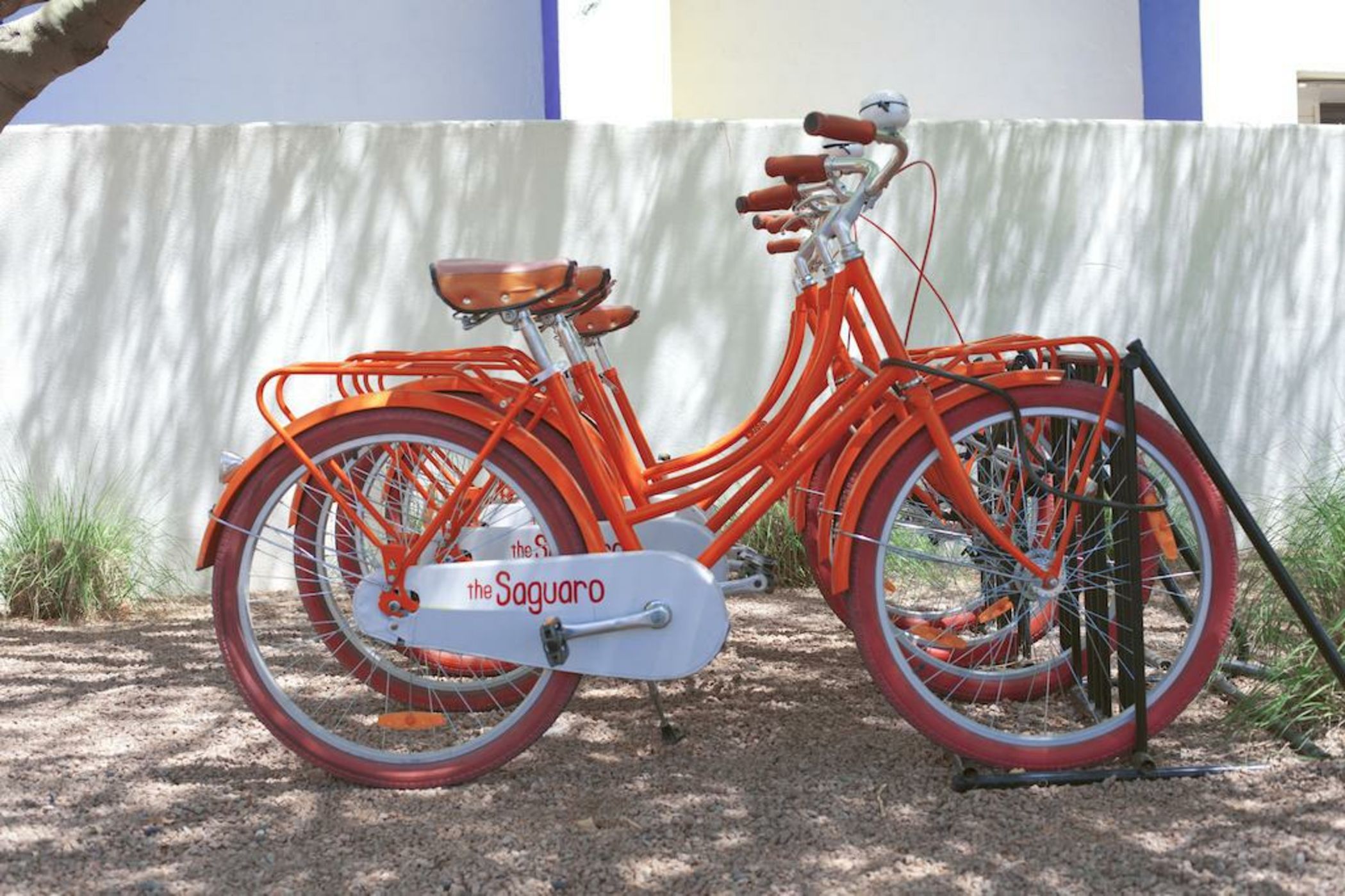 The Saguaro Scottsdale