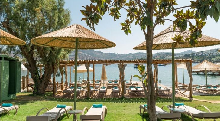 Highlight Hotel X-Beach