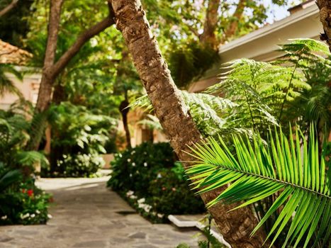 Hotel Bel-Air - Dorchester Collection