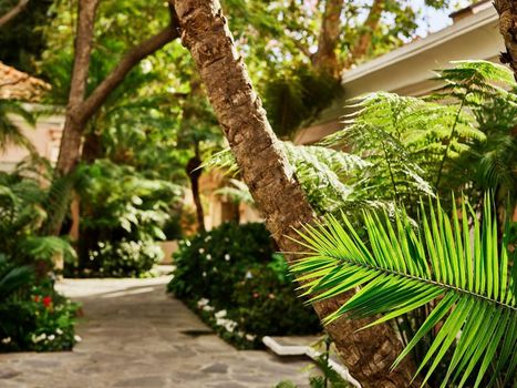 Hotel Bel-Air - Dorchester Collection