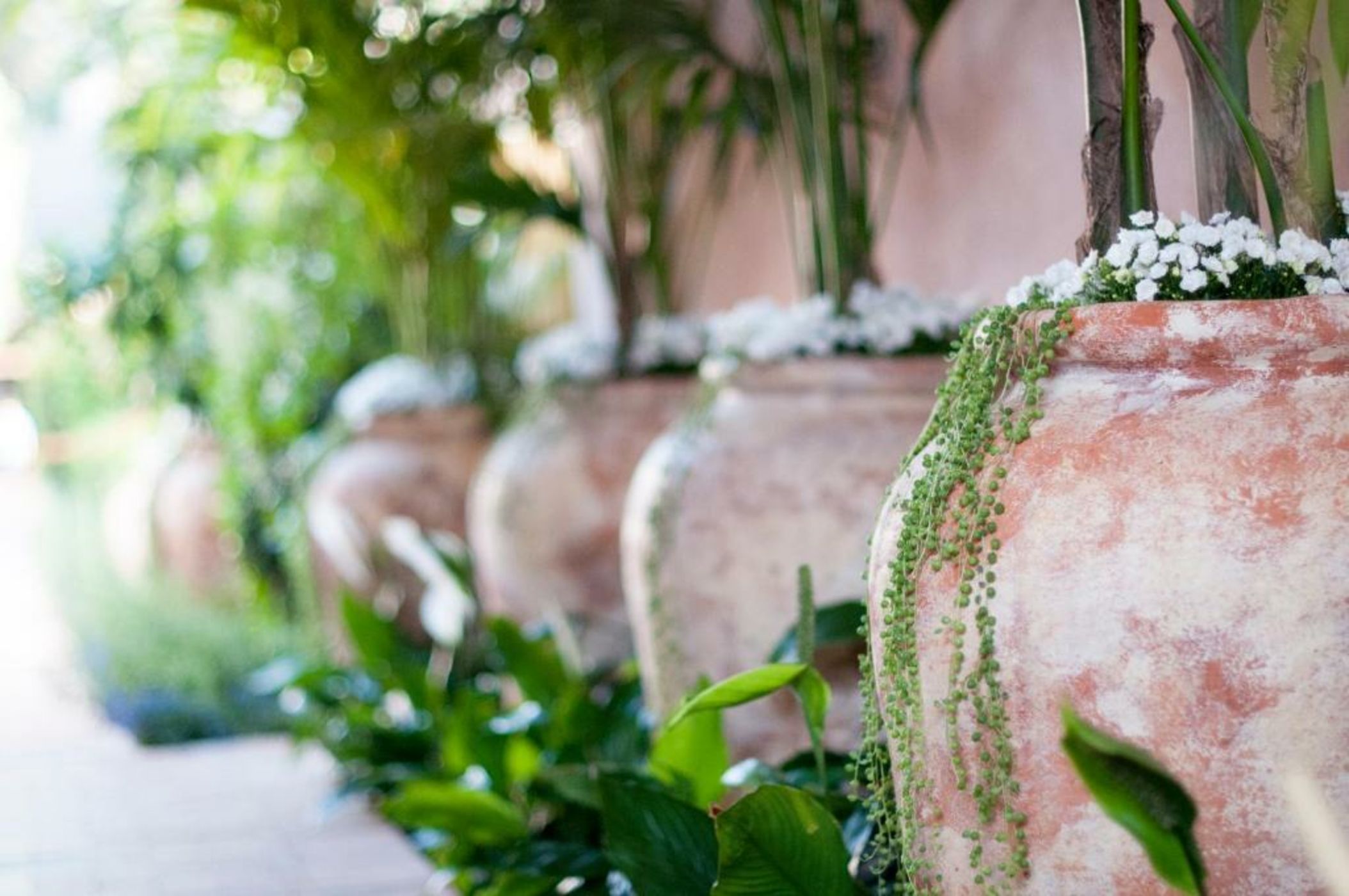 Hotel Bel-Air - Dorchester Collection